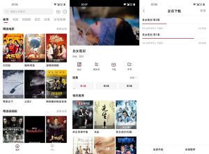 大师兄影视V3.3.8去VIP会员解锁破解版-890资源网