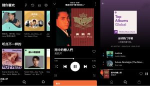 全球音乐Spotify v8.9.74.568解锁高级版-890资源网